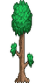 Thumbnail for version as of 14:04, 9 March 2023